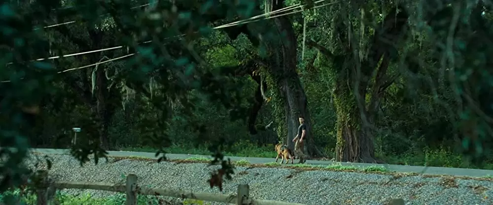 「一枚のめぐり逢い」ザック・エフロンの画像