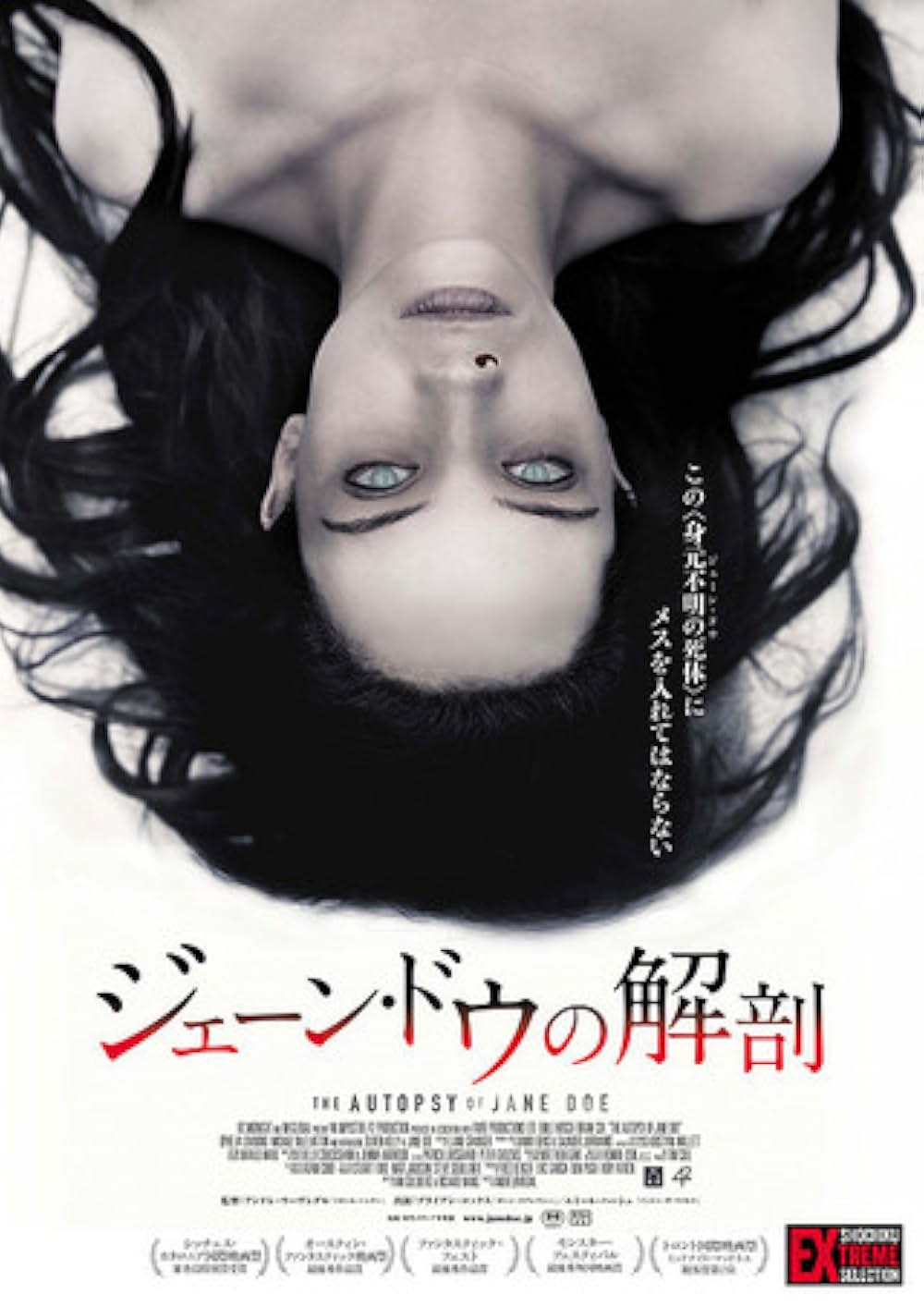 ジェーン・ドウの解剖の画像