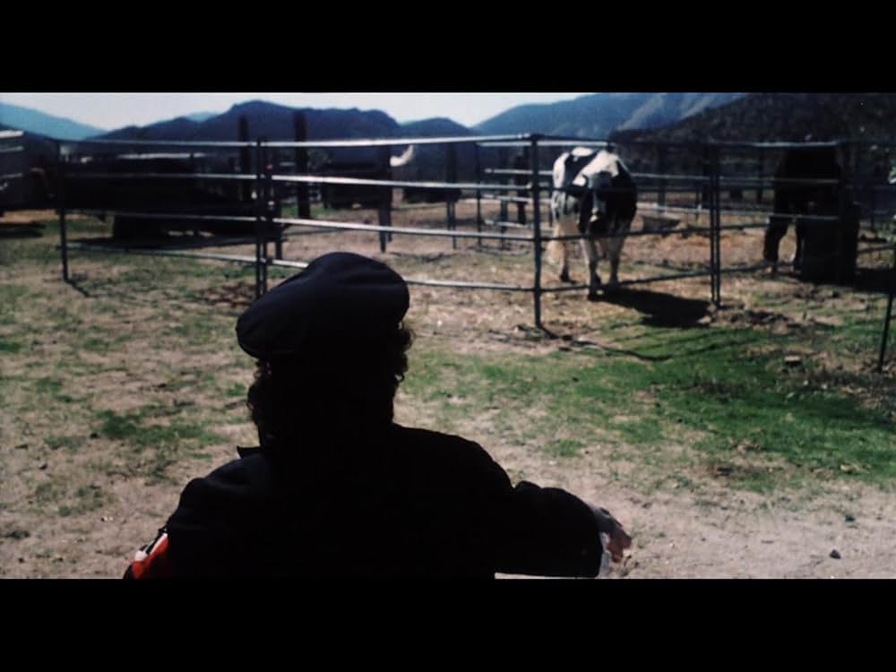 Hard Rock Zombies（原題）の画像