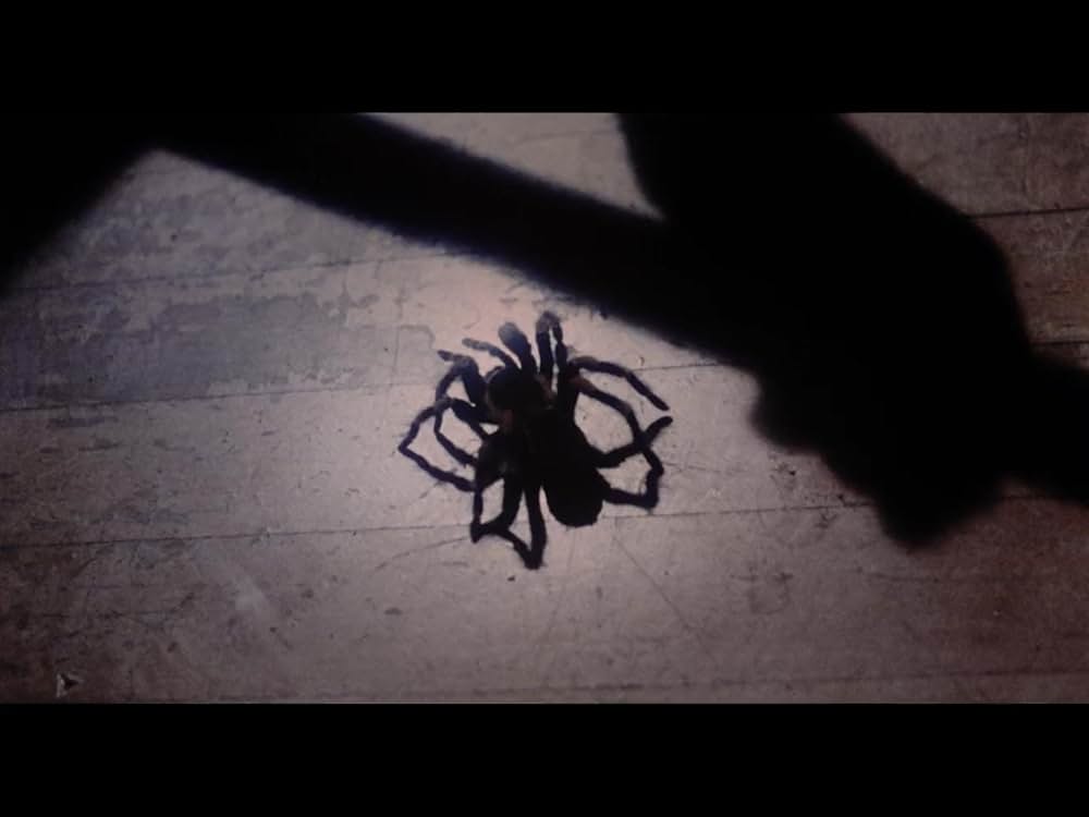 Hard Rock Zombies（原題）の画像