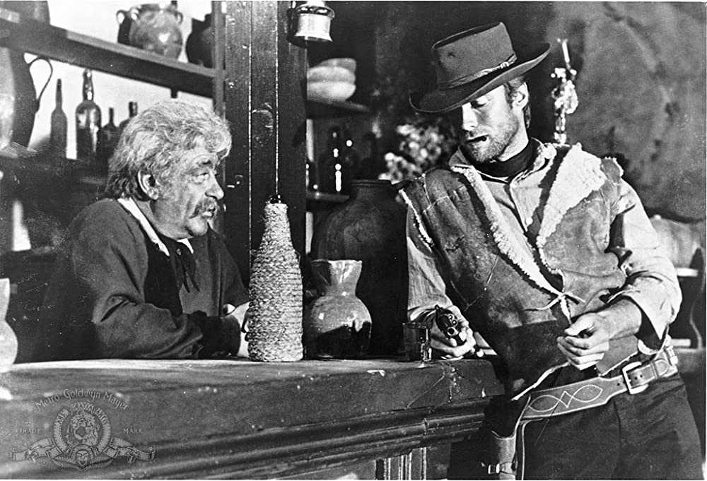 荒野の用心棒の画像