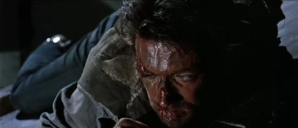 荒野の用心棒の画像