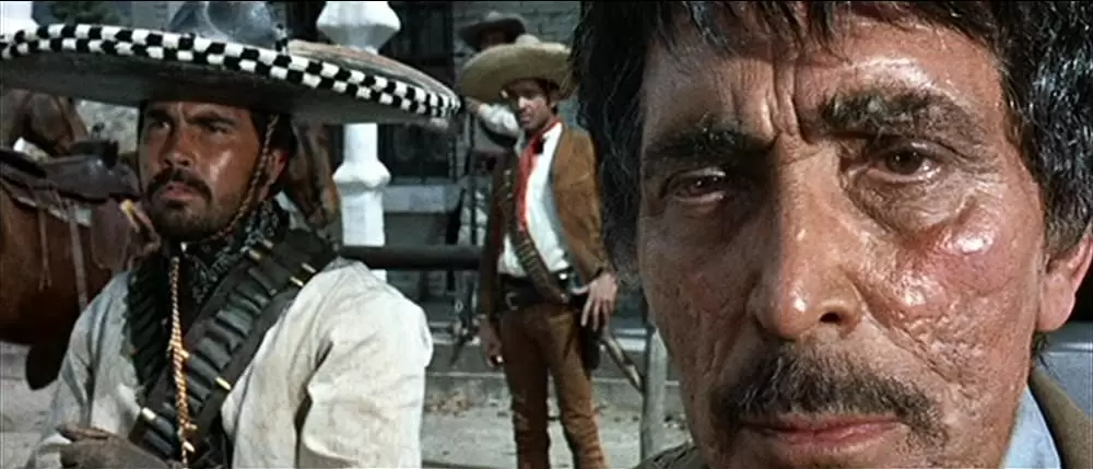 荒野の用心棒の画像