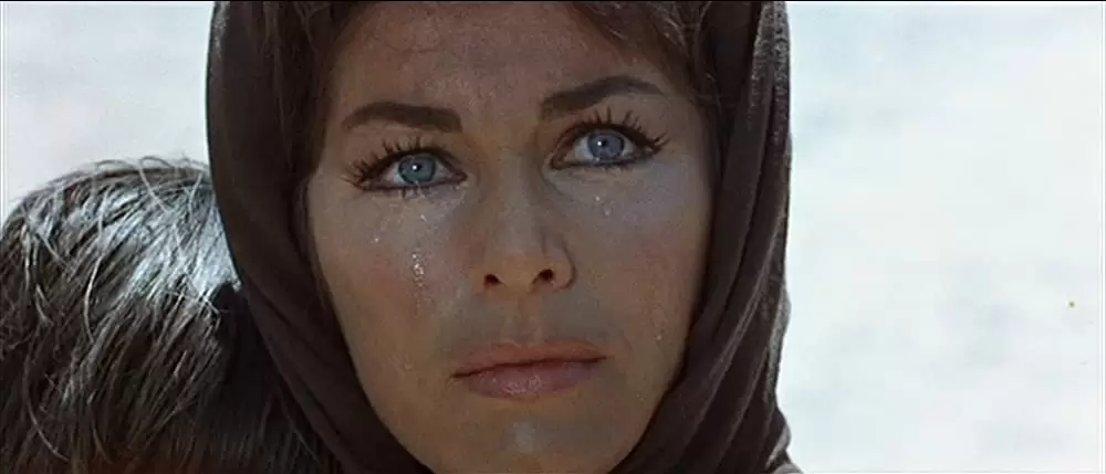 荒野の用心棒の画像