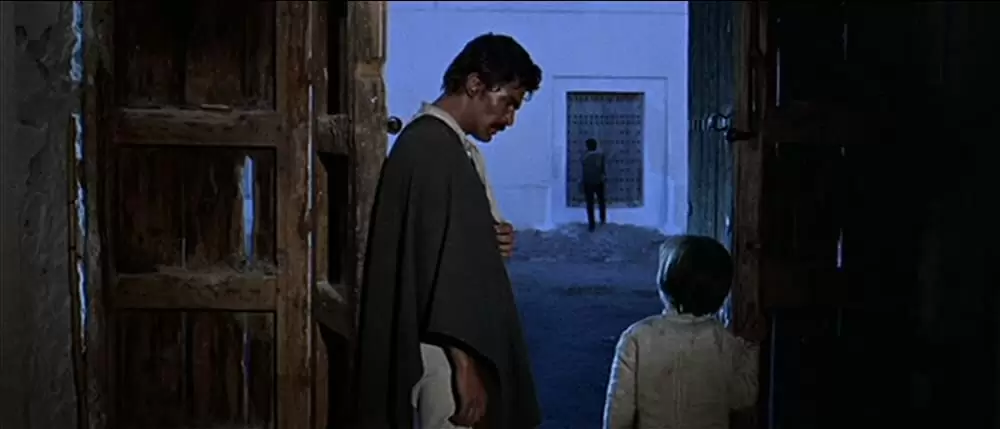 荒野の用心棒の画像