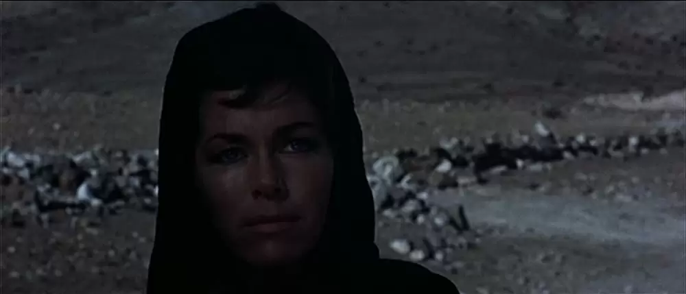 荒野の用心棒の画像