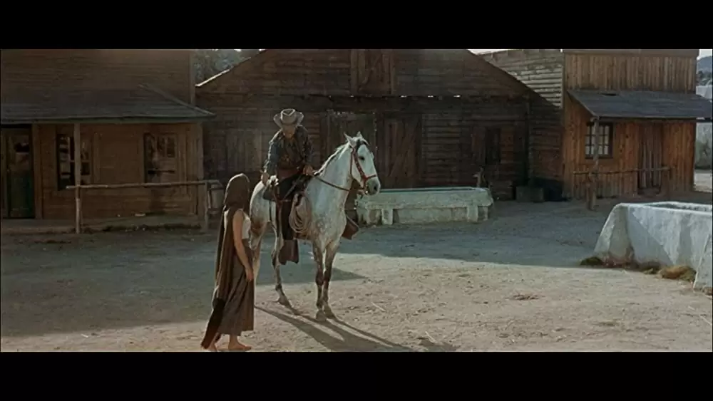 荒野の用心棒の画像