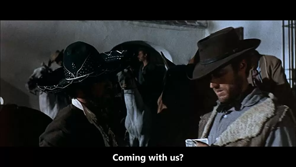 荒野の用心棒の画像