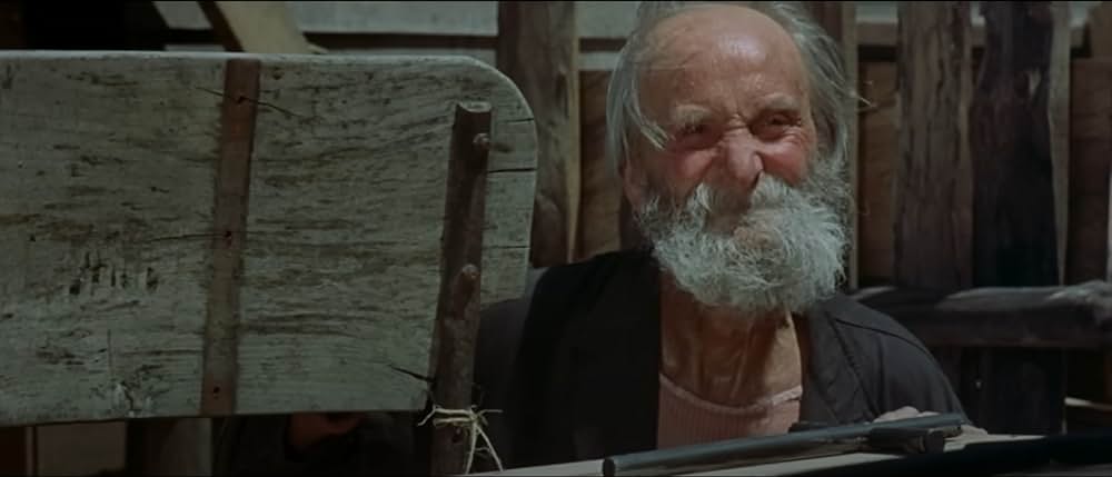 荒野の用心棒の画像