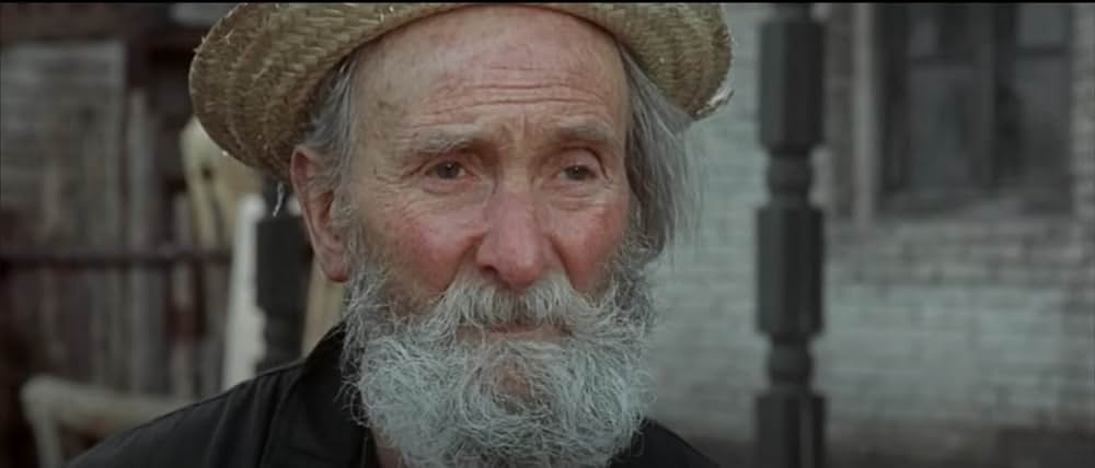 荒野の用心棒の画像