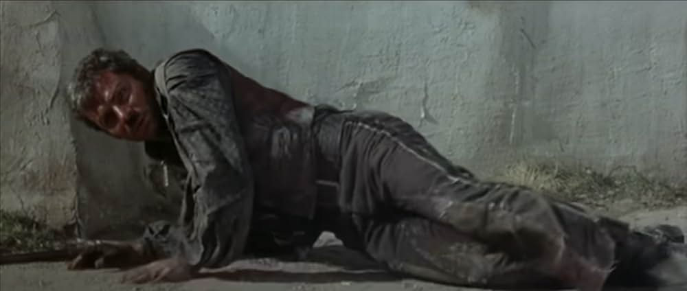 荒野の用心棒の画像