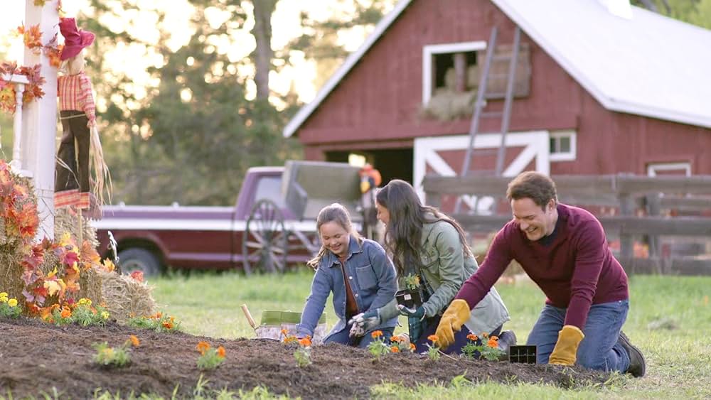 スイング・イントゥ・ロマンスの画像
