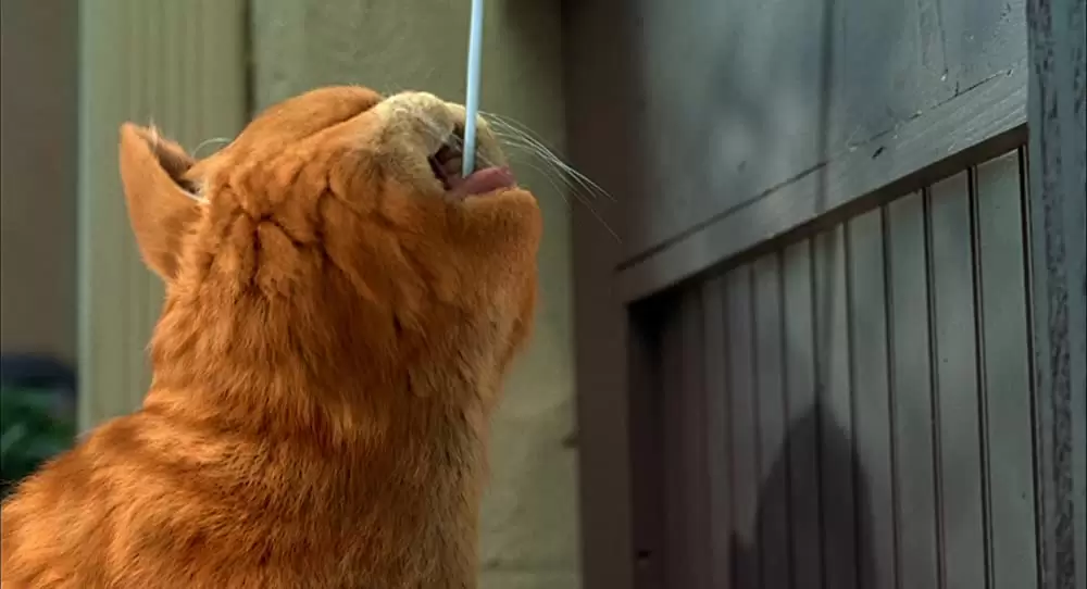 ガーフィールド ザ・ムービーの画像