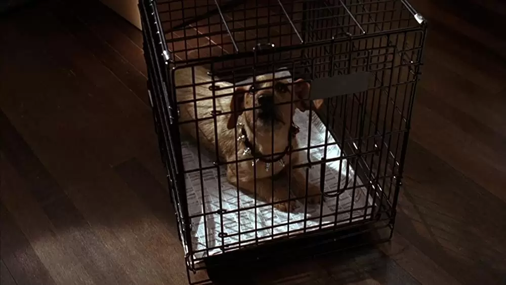 ガーフィールド ザ・ムービーの画像