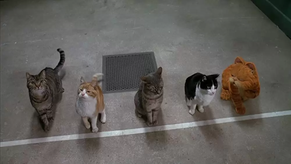 ガーフィールド ザ・ムービーの画像