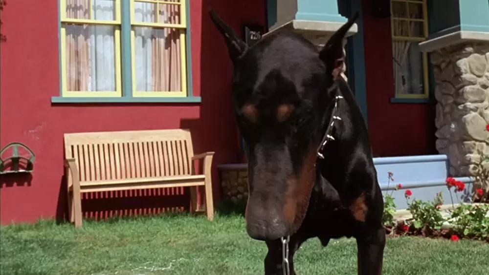 ガーフィールド ザ・ムービーの画像