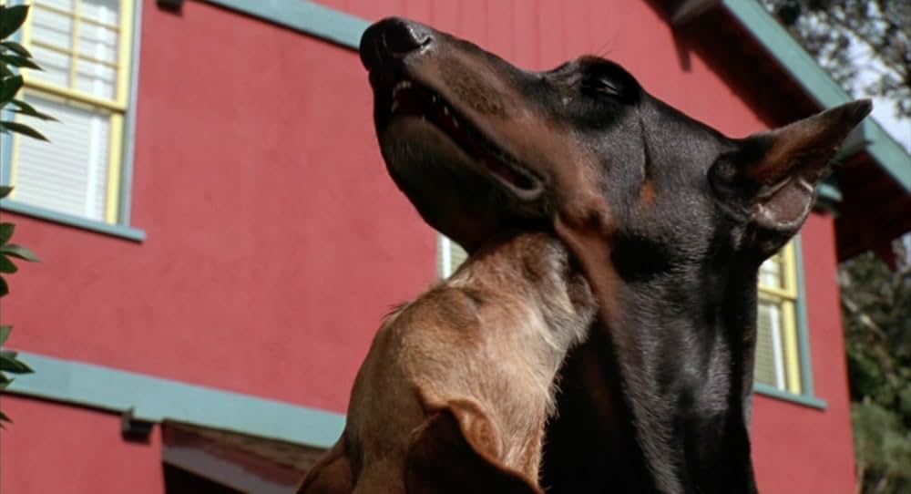 ガーフィールド ザ・ムービーの画像