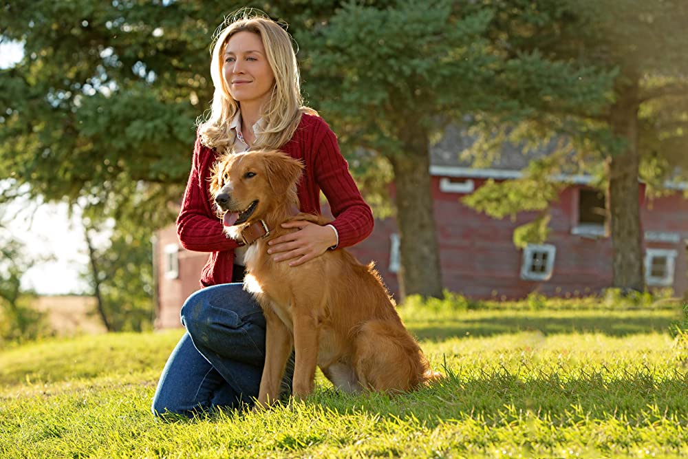 僕のワンダフル・ライフの画像