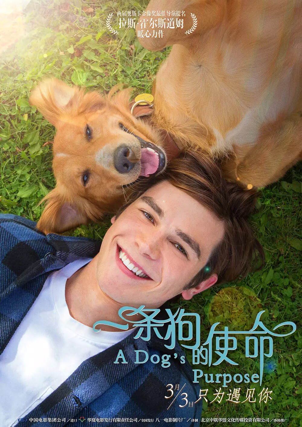 僕のワンダフル・ライフの画像