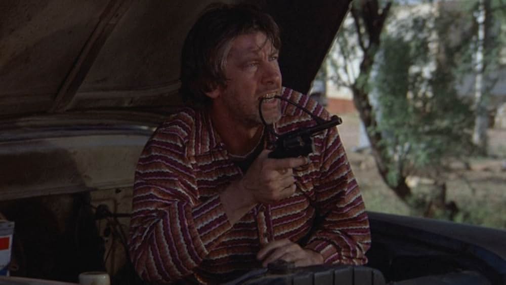 ハイジャック・コネクション／クーパーの大仕事の写真