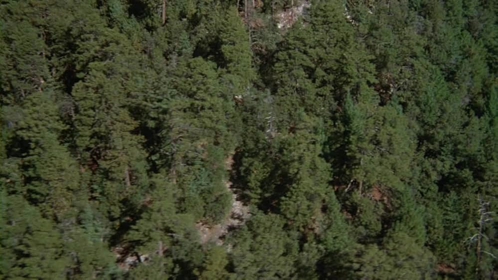 ハイジャック・コネクション／クーパーの大仕事の画像