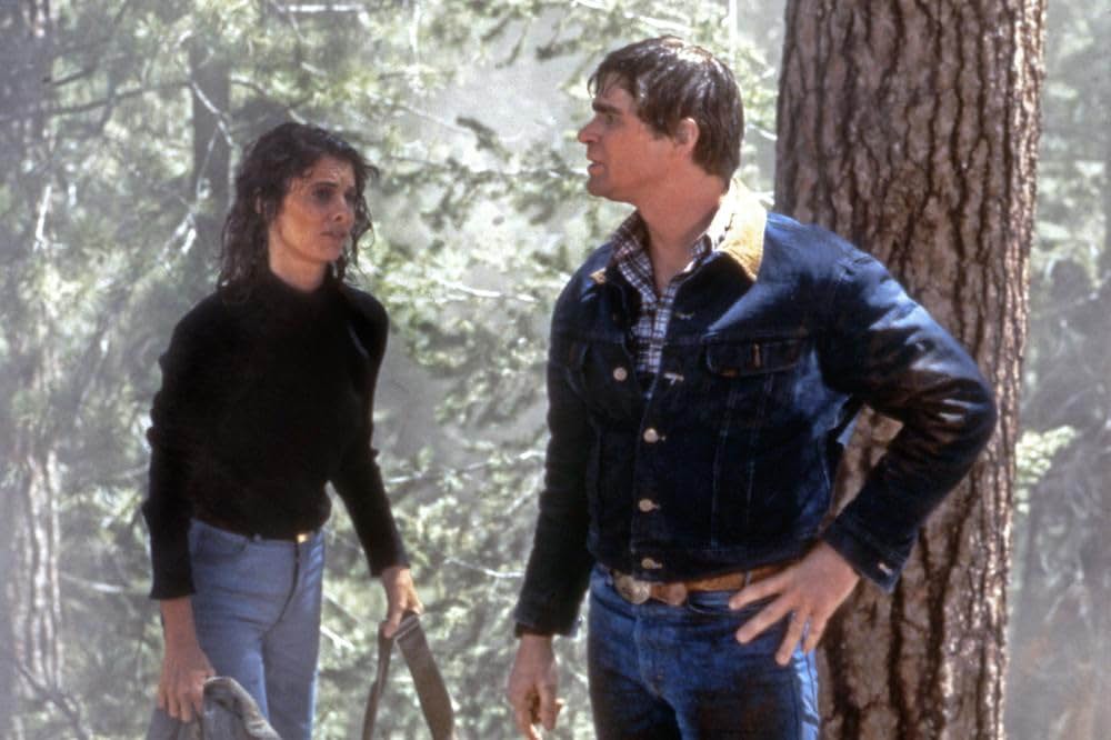 ハイジャック・コネクション／クーパーの大仕事の画像