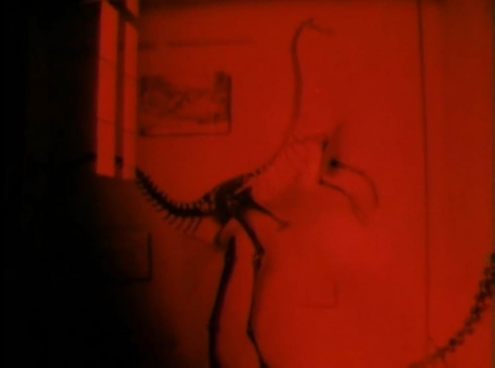 スパイラル・ジェティの画像