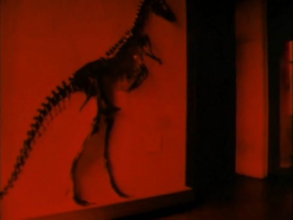 スパイラル・ジェティの画像