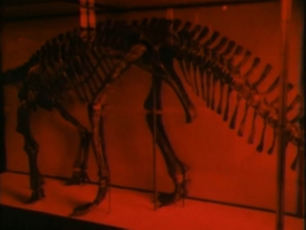 スパイラル・ジェティの画像