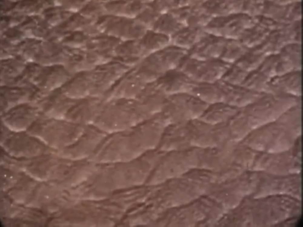 スパイラル・ジェティの画像