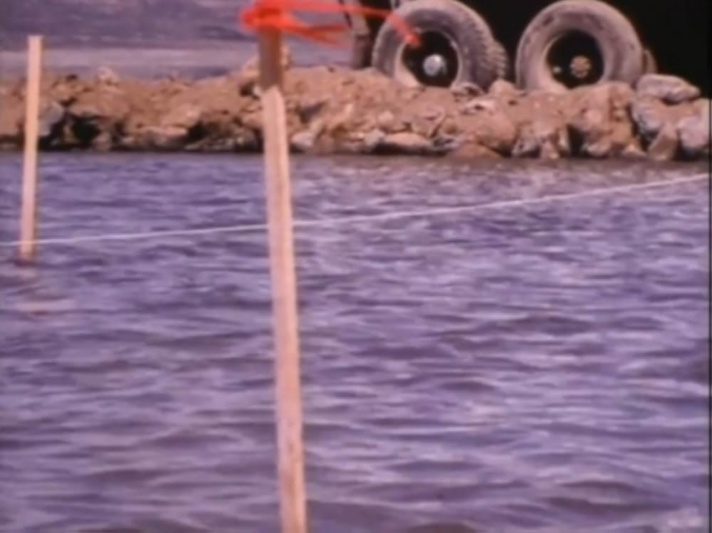 スパイラル・ジェティの画像