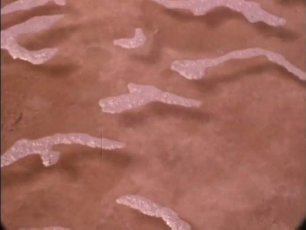 スパイラル・ジェティの画像