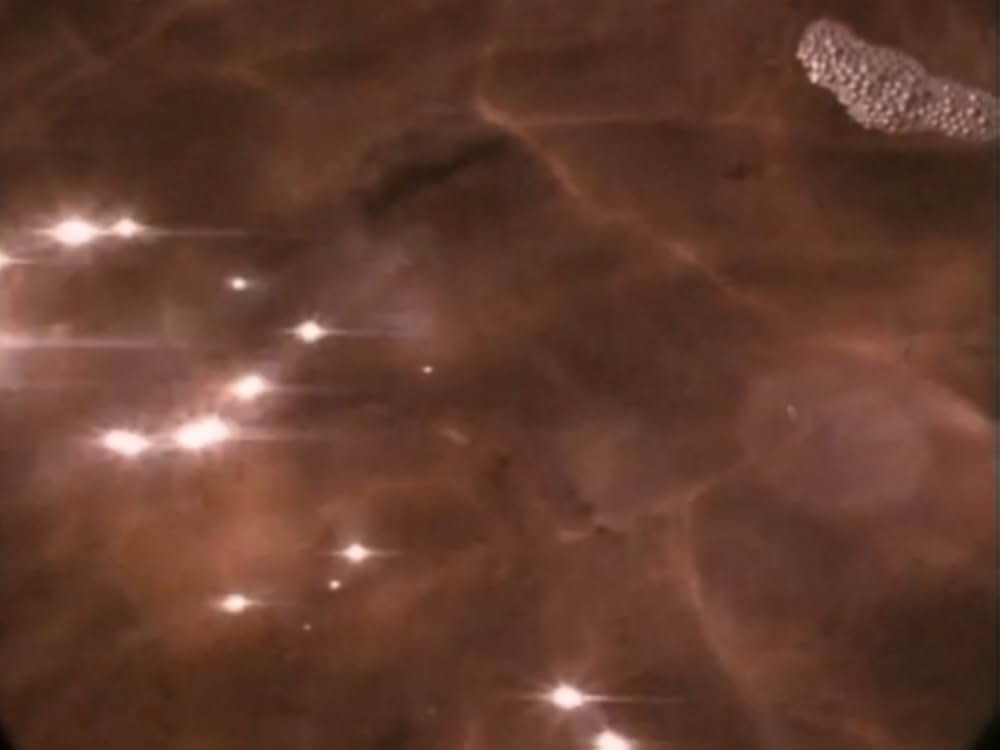 スパイラル・ジェティの画像