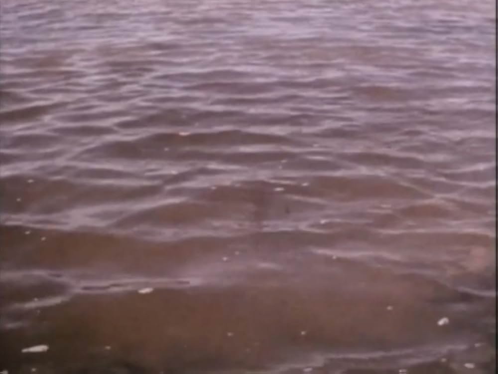 スパイラル・ジェティの画像