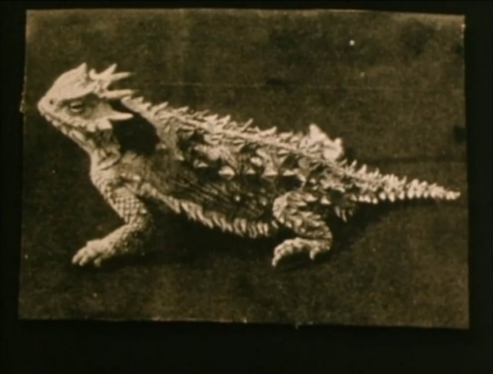 スパイラル・ジェティの画像