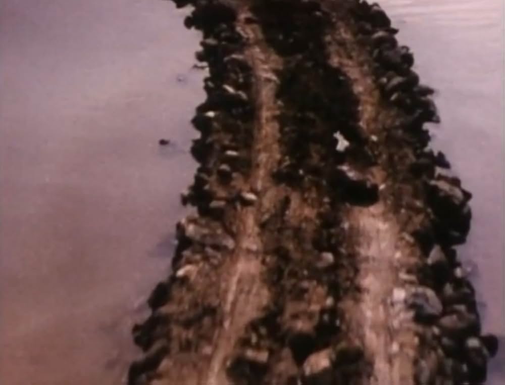 スパイラル・ジェティの画像