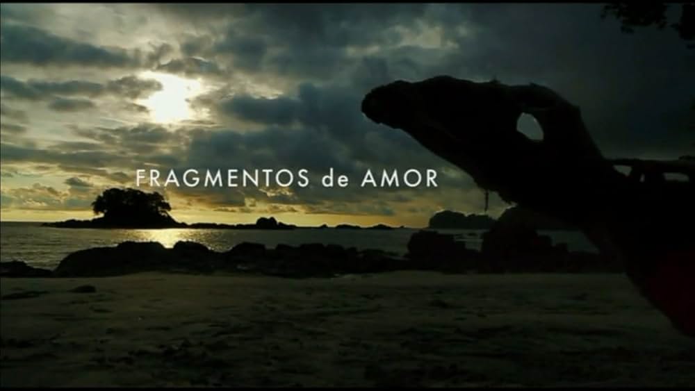 愛の断片の画像