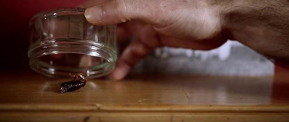 テラー・ハウス 堕天使が棲む館の画像