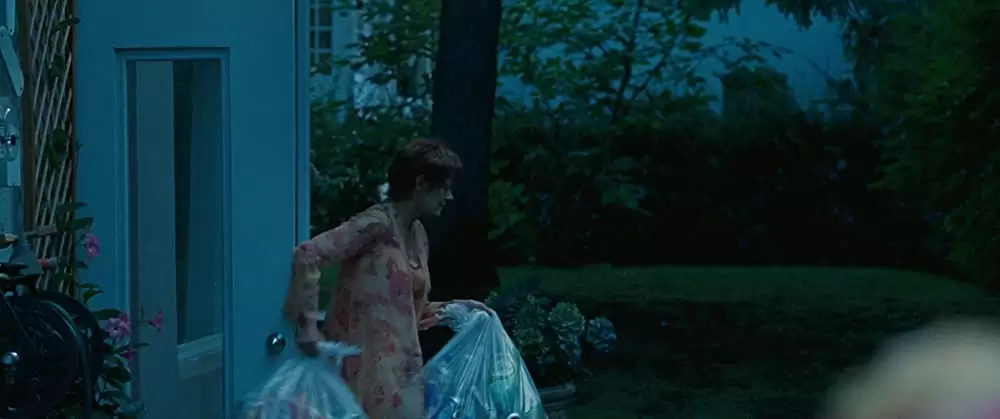 「ジョン・F・ドノヴァンの死と生」スーザン・サランドンの画像