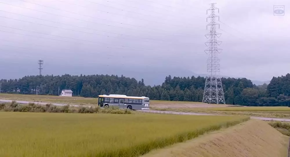 家に帰ると妻が必ず死んだふりをしています。の画像