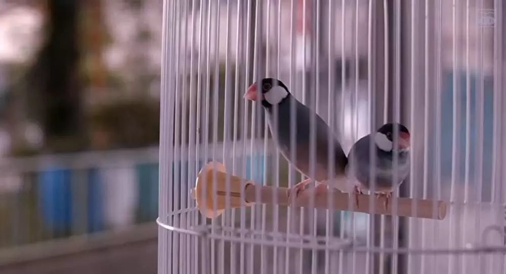 家に帰ると妻が必ず死んだふりをしています。の画像