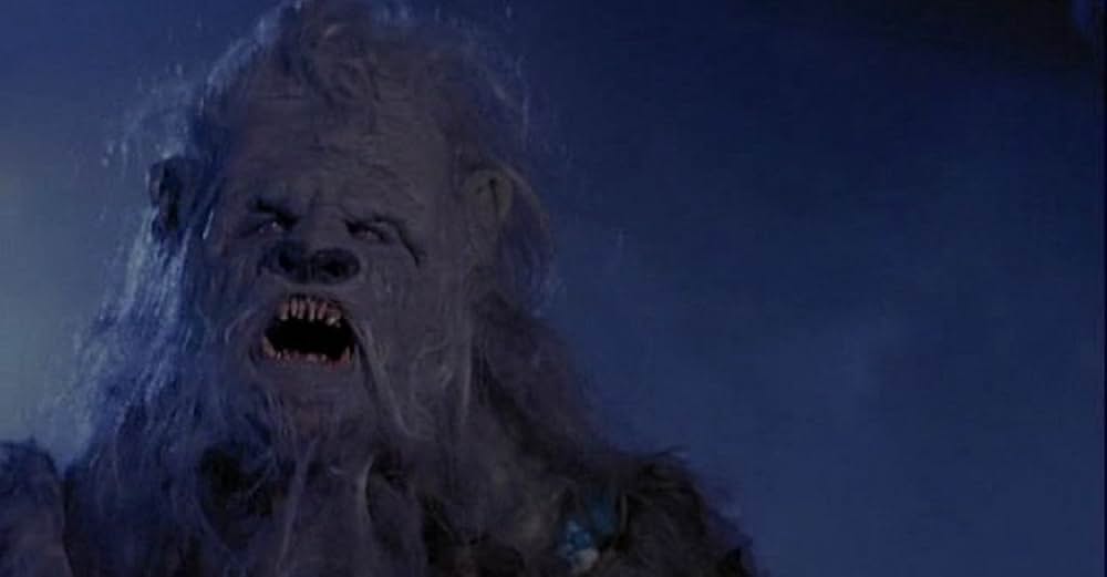 YETI イエティの写真