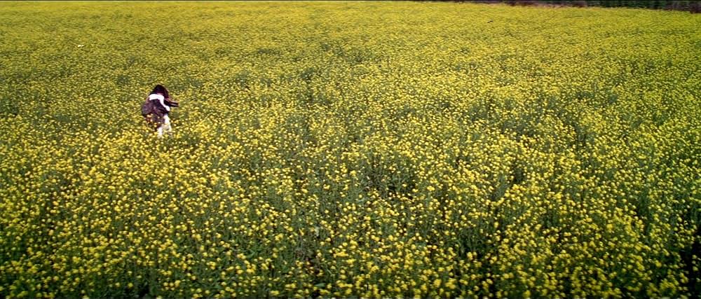 DDLJ 勇者は花嫁を奪う／シャー・ルク・カーンのDDLJラブゲット大作戦の画像