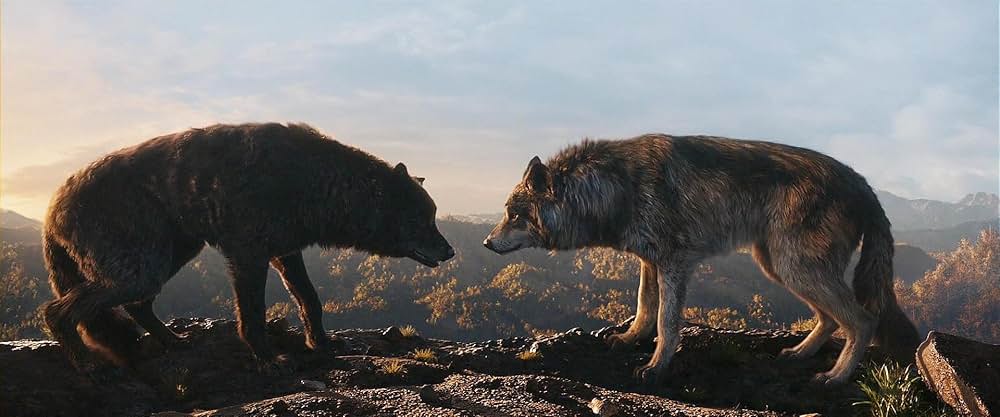 Bhediya（原題）の画像