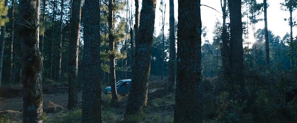 Bhediya（原題）の画像