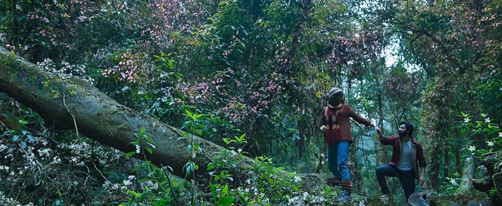 Bhediya（原題）の画像