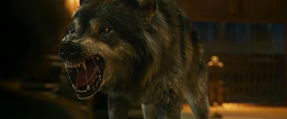 Bhediya（原題）の画像