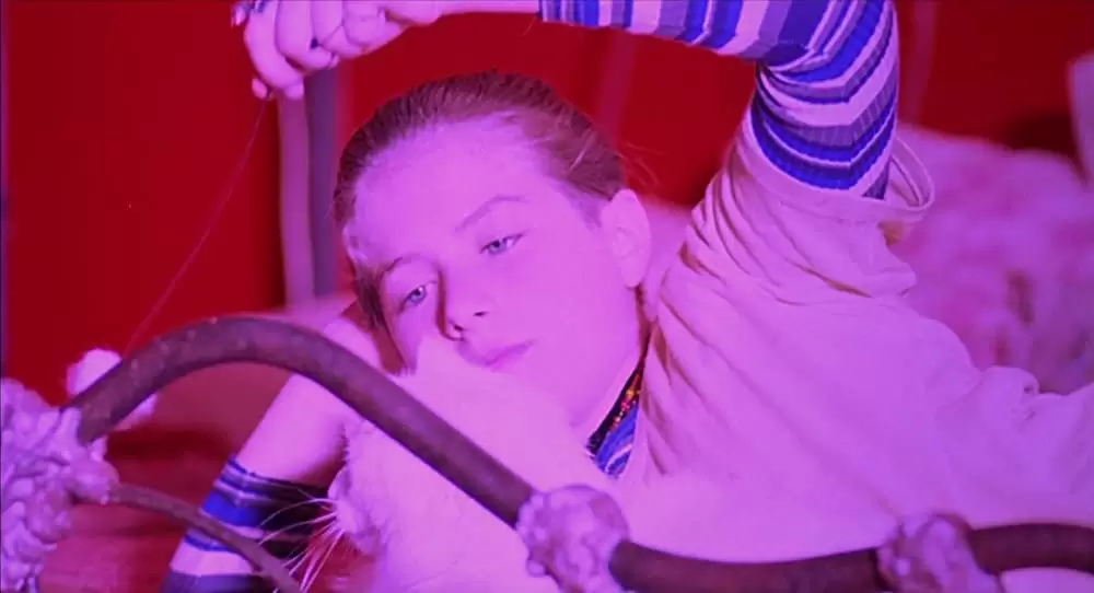 「クロウ／飛翔伝説」Rochelle Davisの画像