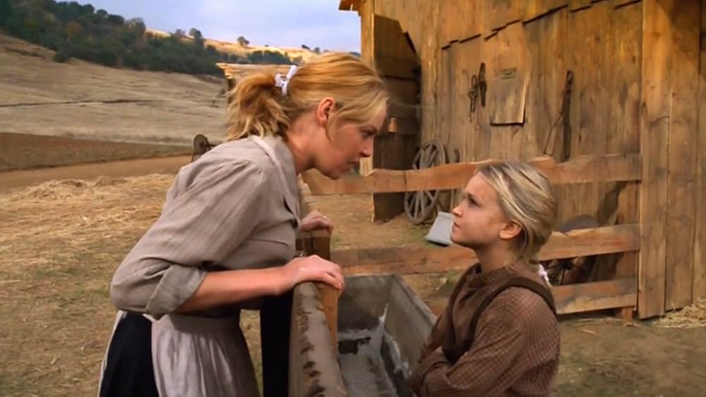 Love Comes Softly（原題）の画像