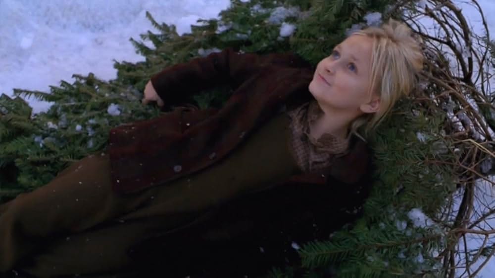 Love Comes Softly（原題）の画像